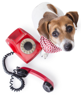 Contact Factoring Brokers at My Factoring Brokers